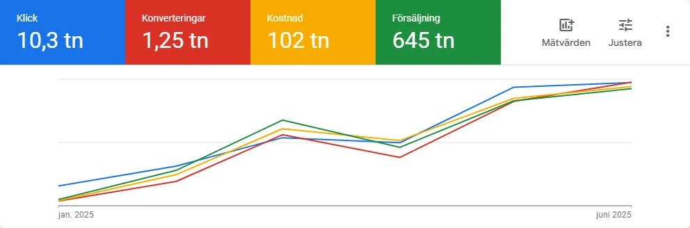 Google Ads tillväxt över 5 månader
